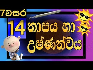 Grade 7 Science Lessons Sinhala Medium Lesson 14 Heat | Temperature