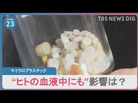 洗濯排水や海、魚、さらには人の血液中からも検出される「マイクロプラスチック」人体に影響は？｜TBS NEWS DIG