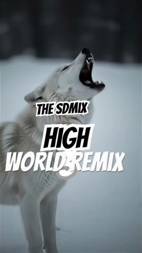 World Remix of the SDMix - The Ultimate Dance Revolution!