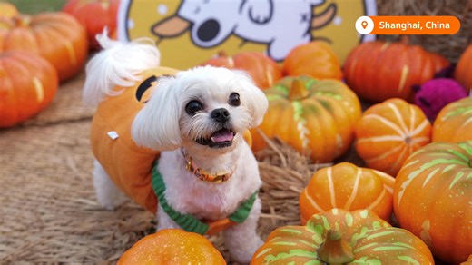 18K views · 112 reactions |  Here’s a collection of some the most interesting pictures from around the world this week, | Reuters | Facebook