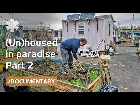 (Un)housed in paradise: how the homeless can get off the street