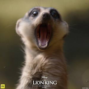 12K views · 211 reactions | Opening your phone on selfie mode 盧 #TheLionKing | Walt Disney Studios | Facebook