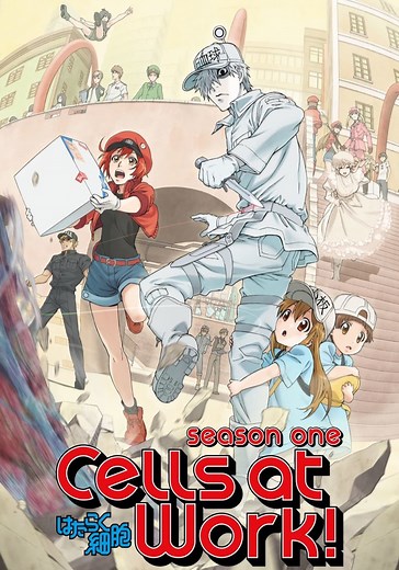 Cells at Work! Season 1 - watch episodes streaming online
