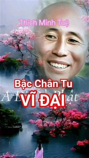 The Great Monk Thich Minh Tue #thichminhtue #phatphap #nguyenphuonghang #shorts