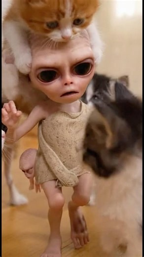 Cat's Gift to Her Kittens Has the Alien Absolutely Panicking #shorts #funny #alien