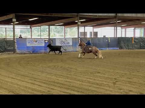 Stock Horse of Texas Class Description: Boxing Cow Work