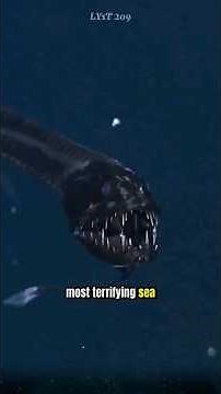 The Viperfish, the most terrifying sea monster of the ocean, that you may not know about. #viperfish