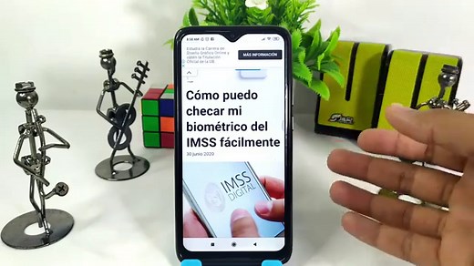 Cómo Checar Biométrico del IMSS Rápido y Fácil
