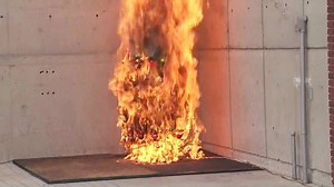 82K views · 590 reactions | A Christmas tree, fully adorned with...