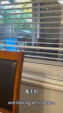 自然纪录片：野生老王| Nature Documentary: A wild Lao Wang