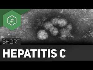 Hepatitis C – scarring of the liver?!