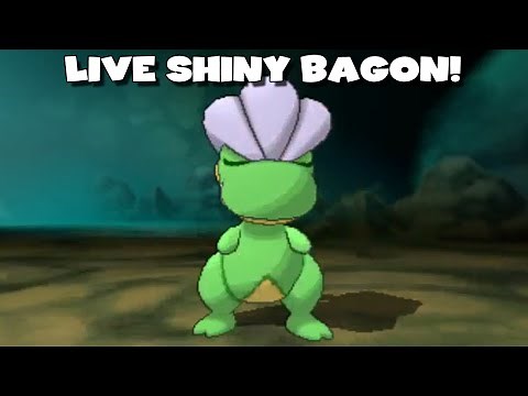 LIVE SHINY BAGON AFTER 26 HORDE ENCOUNTERS - Pokemon Omega Ruby/Alpha Sapphire Highlight
