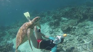 64K views · 546 reactions | The revolutionary mask that will forever change your snorkeling experience - 20$ US off with code TURTLE | Snorkl | Facebook