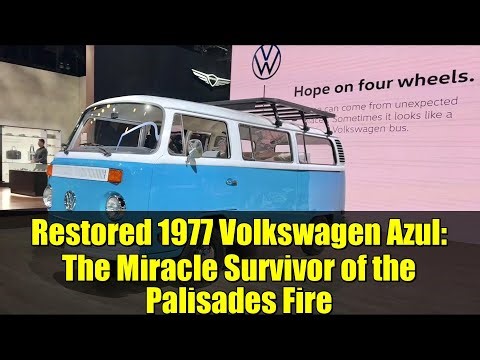 Restored 1977 Volkswagen Azul: The Miracle Survivor of the Palisades Fire | Full Restoration Story