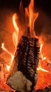 Ethio Jazz Truck. 39 | Mak Ezra Tewehade | ማክ እዝራ | ተወሓደ