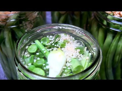 Canning Dilly Beans | The Best Pickled Green Beans Recipe