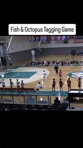 TAGGING GAME | Fish & Octopus, a great tagging game typically known as 'Bullrush', with a constraint on invading space. A fun tagging game to work on ball handling and evading. Drill is demonstrated by the @hillshornets U11 players, at a @basketballnsw Coaches Clinic. #instagood #coaching #growth #basketball #fyp #passion #fun #nba #fiba #beginner #reels #instagram | Jarrod Moore