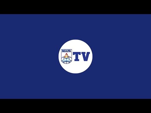 TV MAPA está ao vivo!