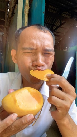 Nguyên một khu rừng ẩm thực trong miệng