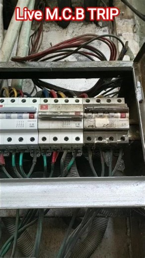 live MCB trip test //MCB trip test //#shorts #mcb #electrical #testing