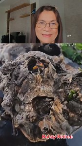 Did you know that acorn barnacles have mouth? #barnacles #information #Delicacy #fblifestyle | Wylynda Ilagan