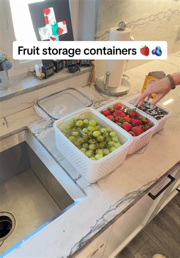 Extend Fruit Freshness with ARM & HAMMER Containers