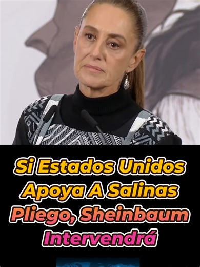 Si Estados Unidos Apoya A Ricardo Salinas Pliego, Sheinbaum Intervendrá En La Elección #méxico #noticias