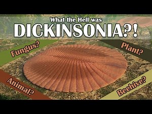 What the Hell was Dickinsonia?!