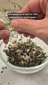 St. Mary's Herb