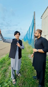 Made in Japan pukhtoon 🇯🇵 | Lewani Vines