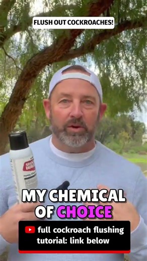 Roaches Hiding in Walls? Flush Them Out NOW! #RoachControl #GetRidOfRoaches #CockroachInfestation