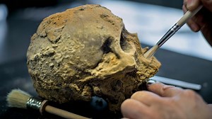 Million-Year-Old Human Skull Discovered In China