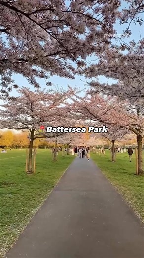 355K views · 6.5K reactions | Hello spring Here's to blooming flowers, sunny skies and stunning city vibes. Add these top London spots to your must-visit list this spring St Paul's Cathedral Kew Gardens Battersea Park Leathermarket Gardens Stanley Cresent Kensington Gardens Albert Bridge Ravenscourt Park #LetsDoLondon #VisitLondon | Visit London | Facebook