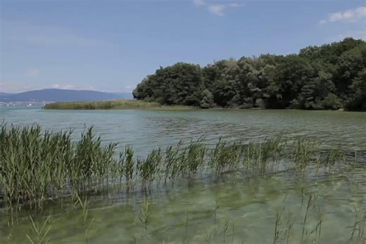 40 jours en été - La forge de l'alchimiste
