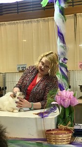 4.2K views · 87 reactions | Lots of fun with many of the top cats from around the nation. Thanks to Leah Dow for the wonderful video. | CFA - The Cat Fanciers' Association, Inc | Facebook