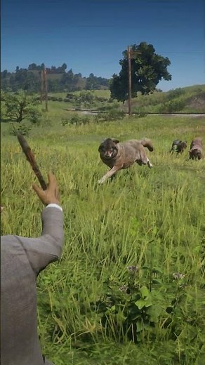 Mastering Survival Skill in Red Dead Redemption 2 #rdr2 #survivaltips #gamingshorts #gaming #shorts