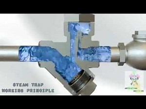 Steam Trap Valve working Principle | Valve | Hydraulic & Pneumatic