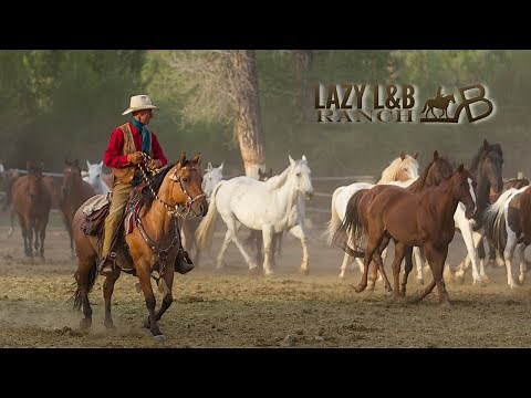 Lazy L&B Dude Ranch - Best Guest/Dude Ranch in Wyoming!