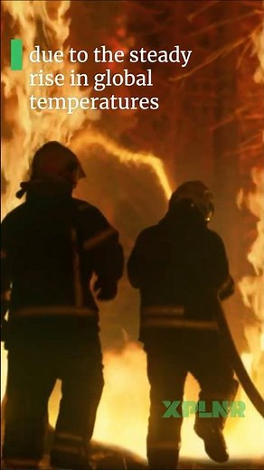 What Actually Starts a Wildfire? 🌲🔥 #science #nature #shorts