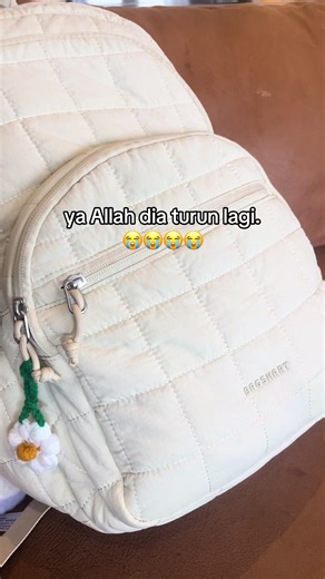 New BagSmart Backpack Review and Features