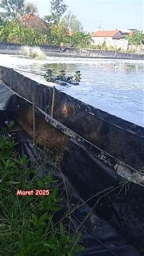 Self-reflection || Muhasabah