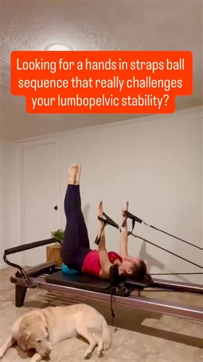 Theresa Ruggles | Pilates and E-RYT 500 Yoga Instructor on Instagram: "In my classes this week I gave two options: the easier version is to keep the hands by your sides, down on the carriage to help you find stability on the ball (great option for a client with less core strength who is more likely to roll off the ball). The second option is what you see in the video here with the hands in the air which is much more challenging on lumbopelvic stability. Preferably the ball should be partially de