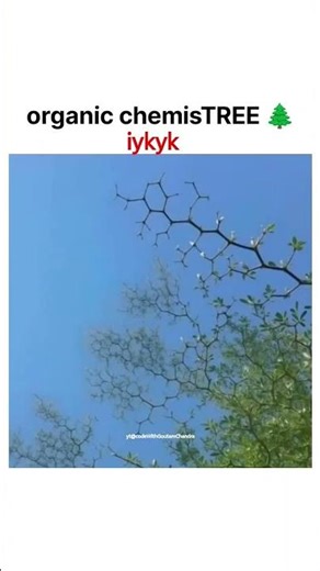 organic chemisTREE 🌲 #memes