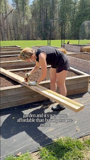 Build a 4x8 raised garden bed with me! #garden #homestead #backgarden