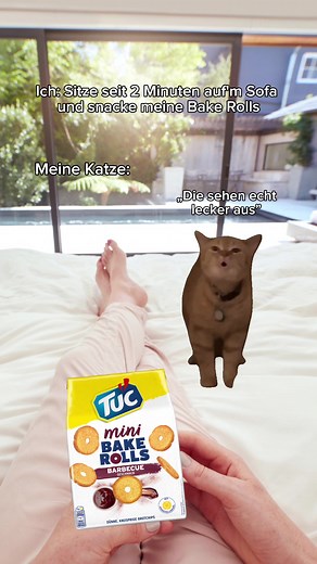 Entspannte Zeit mit deiner Katze: Ein lustiges Meme für Katzenbesitzer!