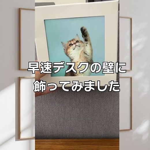 お部屋に馴染む「アートな防災」始めませんか？備蓄用トイレセット「アートトワレ」