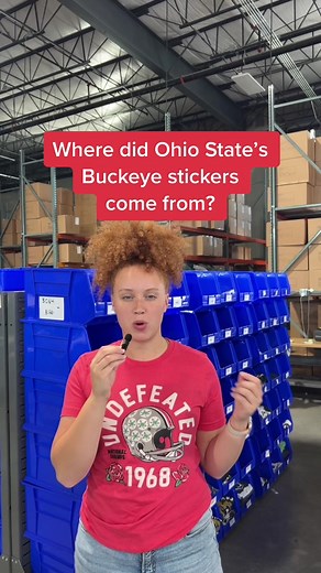 Ohio State Buckeyes Helmet Stickers Collection