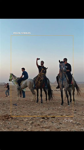 Horse riding? Giza Stables is the No.1 🐎 Ride where Pharaohs once walked — palm groves, real Arabian horses, and the Pyramids in the distance. 📍 Giza Stables | Book now 👇 #GizaStables #EgyptTravel #HorsebackRiding #GizaPyramids