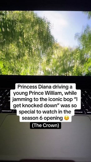 Andrew DeVitre on TikTok