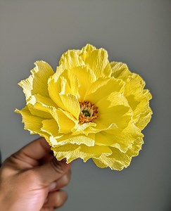 Multiflora Rose - Etsy